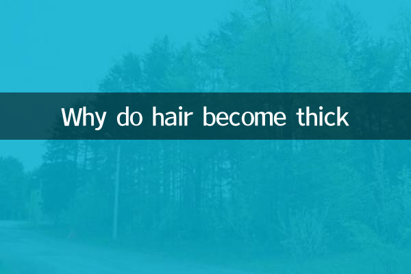 Why is the hair so thick?