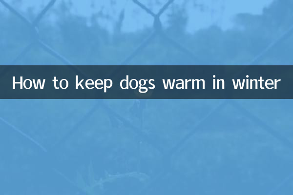 Como manter os cães aquecidos no inverno