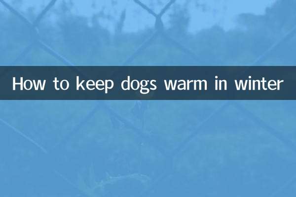 Cómo mantener abrigados a los perros en invierno