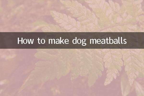 How to make dog meatballs