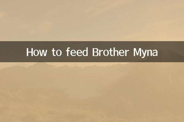 Cómo alimentar al hermano Myna