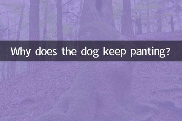 Pourquoi le chien continue-t-il de haleter ?
