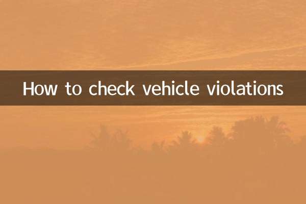 How to check vehicle violations