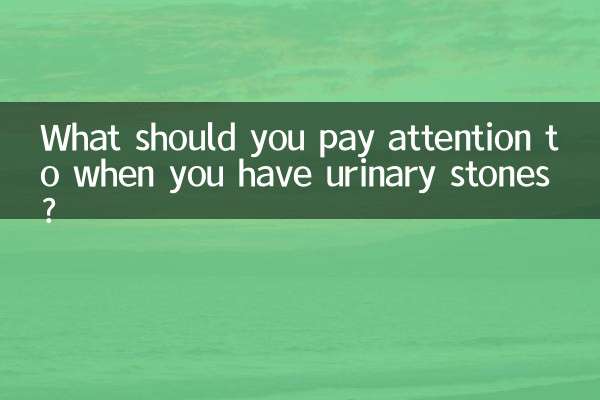 На что следует обратить внимание при наличии мочевых камней?