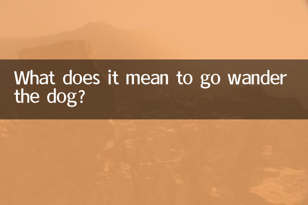 去浪狗什么意思