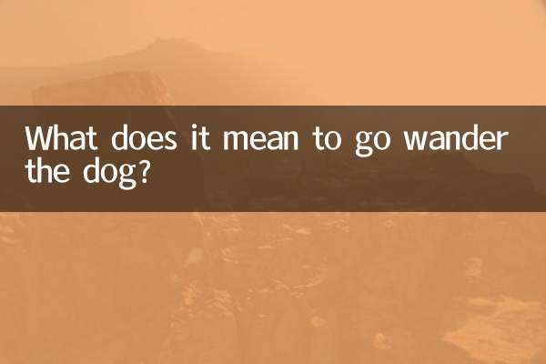 Was bedeutet es, mit dem Hund spazieren zu gehen?