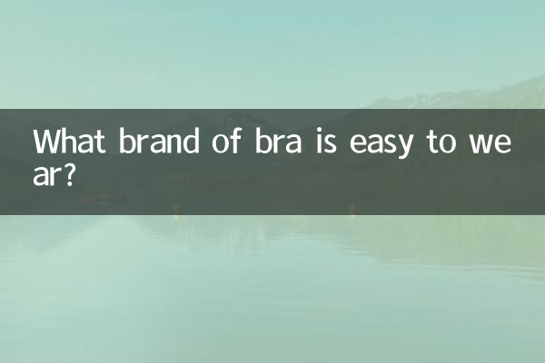 ¿Qué marca de sujetador es fácil de usar?