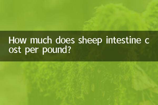 قیمت هر پوند روده گوسفند چقدر است؟