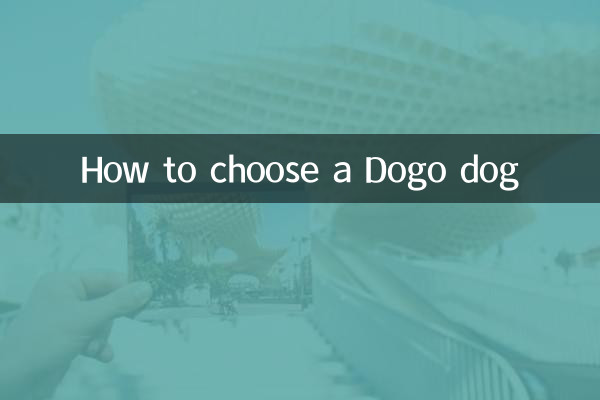 도고견 고르는 방법