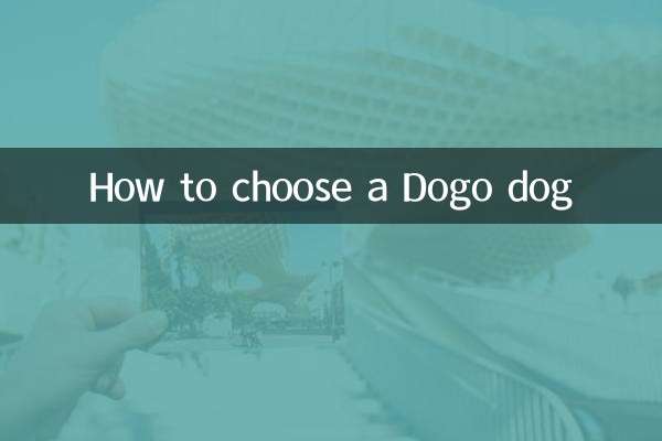 도고견 고르는 방법