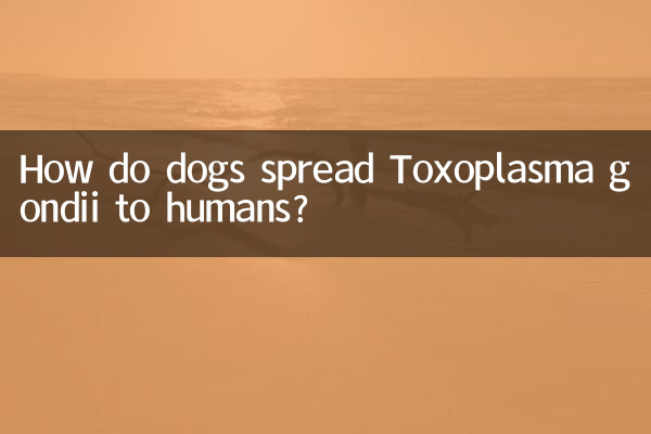 Comment les chiens transmettent-ils Toxoplasma gondii aux humains ?
