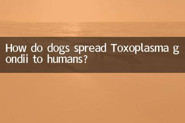 How do dogs spread Toxoplasma gondii to humans?