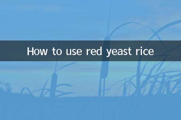 Como usar arroz com fermento vermelho