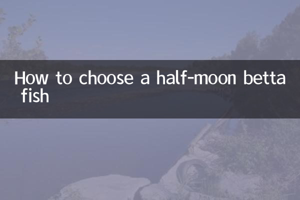 怎麼挑半月鬥魚