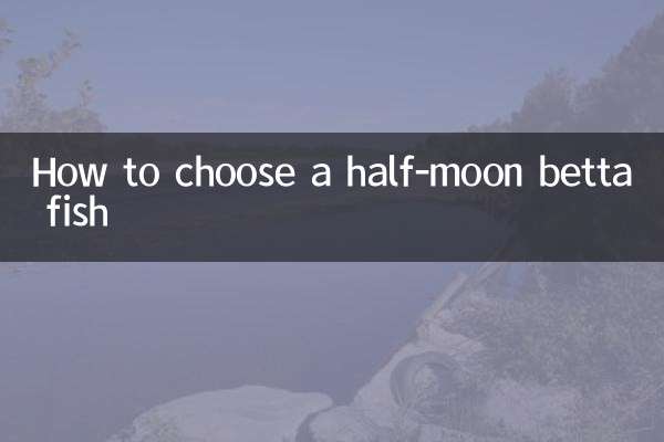 怎麼挑半月鬥魚