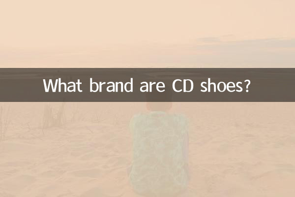 cd的鞋子是什麼牌子