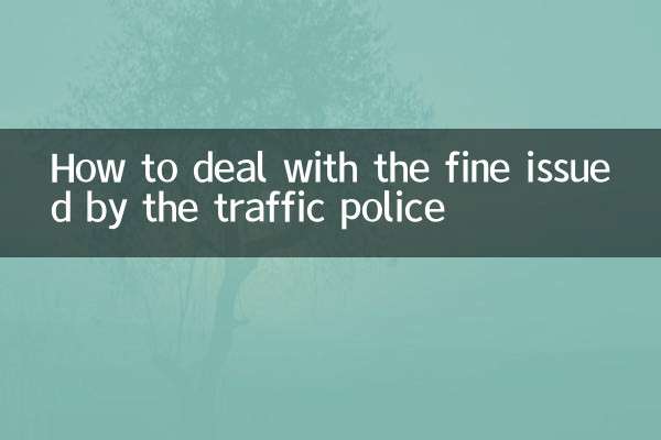 كيفية التعامل مع الغرامة الصادرة عن شرطة المرور