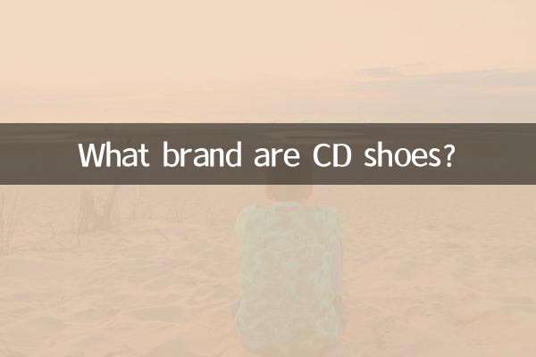 ما هي ماركة أحذية CD؟