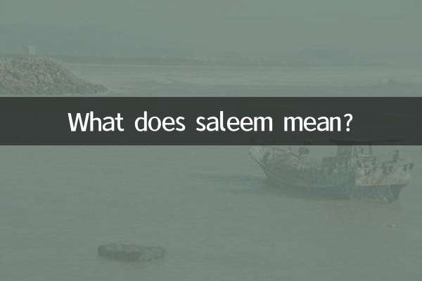 saleem什么意思