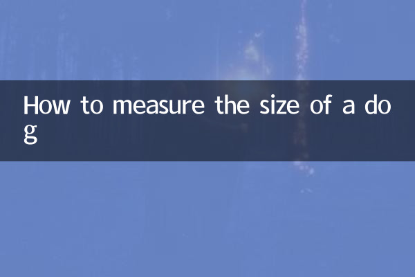چگونه اندازه سگ را اندازه گیری کنیم