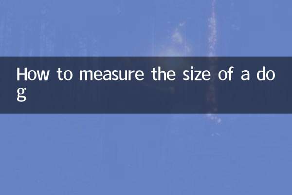 So messen Sie die Größe eines Hundes