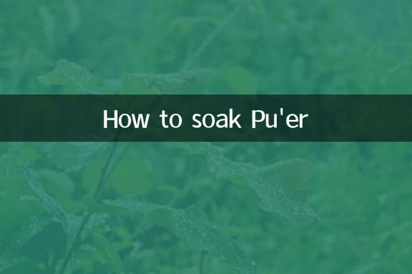 普洱應該怎麼泡