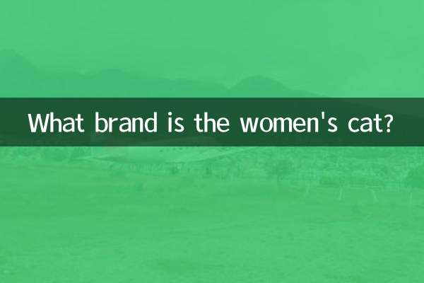 レディースキャットはどこのブランドですか？