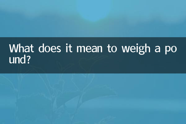 1파운드의 무게를 잰다는 것은 무엇을 의미합니까?