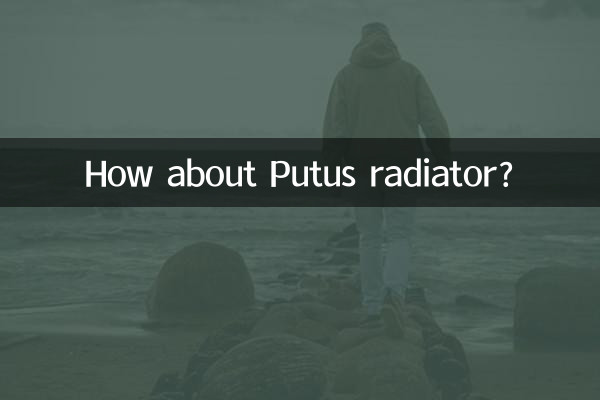 How about Putus radiator?