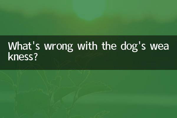 What's wrong with the dog's weakness?