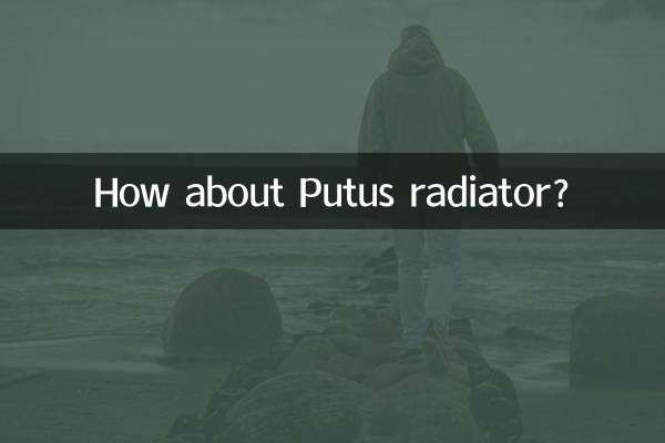How about Putus radiator?