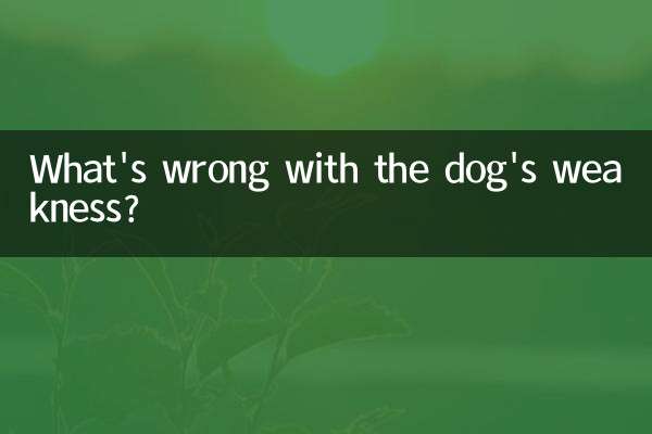 What's wrong with the dog's weakness?