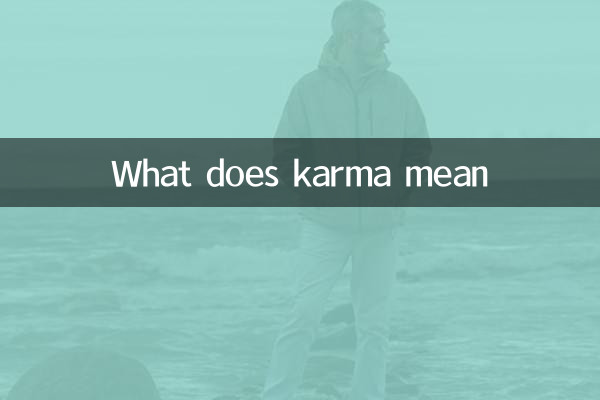 What does karma mean