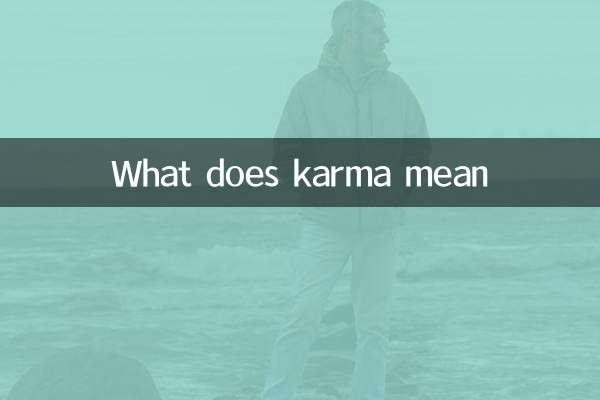 What does karma mean