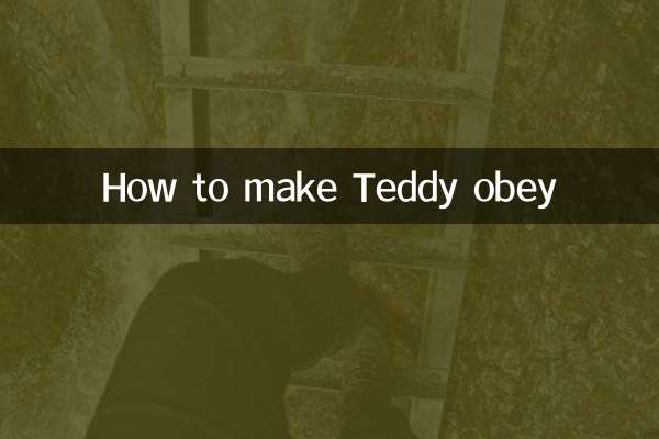 How to make Teddy obey