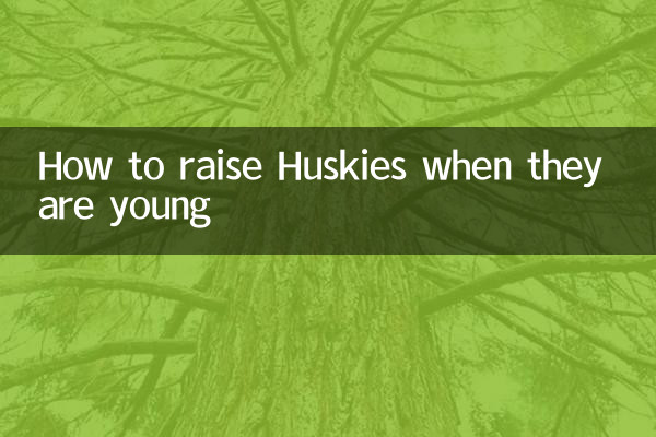 哈士奇小时候怎么养