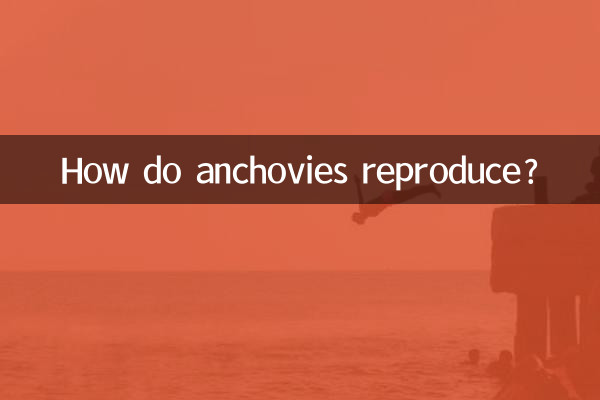 How do anchovies reproduce?