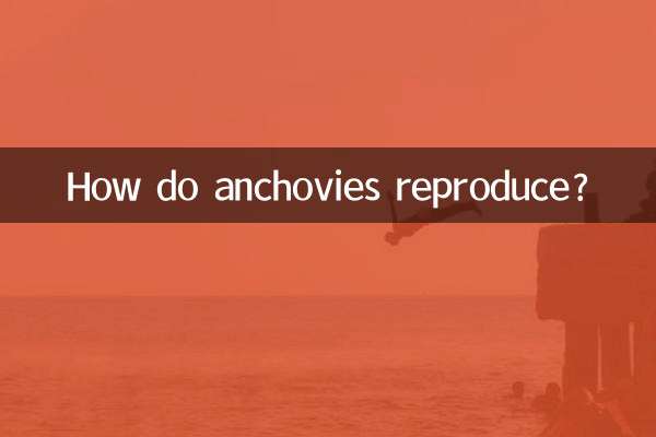 Как размножаются анчоусы?