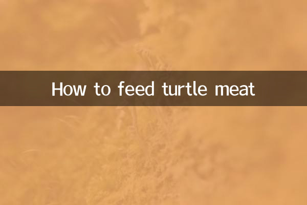 Come nutrire la carne di tartaruga