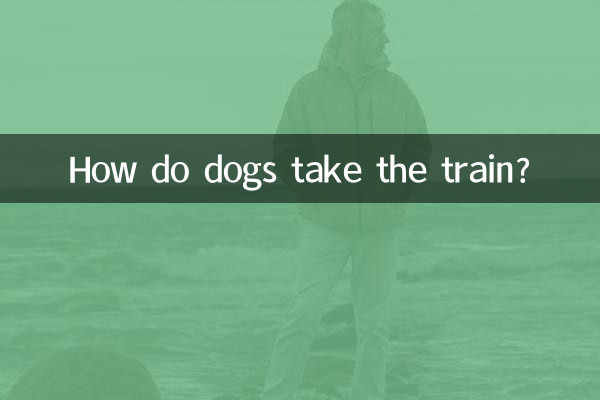 狗狗怎么坐火车