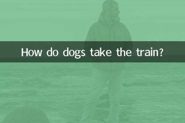 कुत्ते ट्रेन कैसे पकड़ते हैं?
