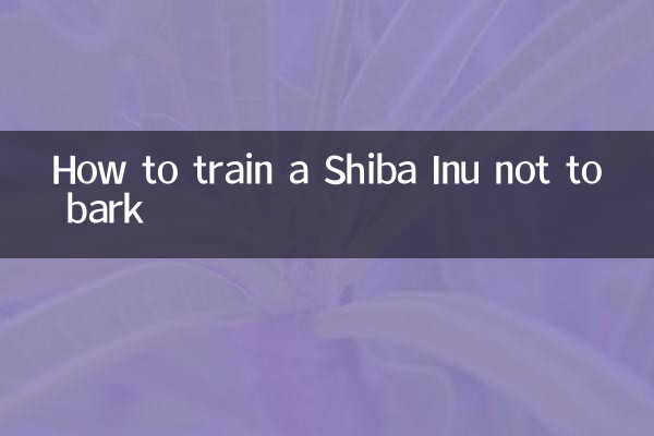 시바견이 짖지 않도록 훈련시키는 방법