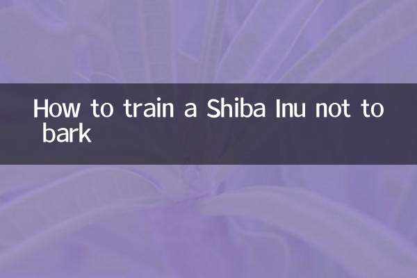 怎麼訓練柴犬不叫