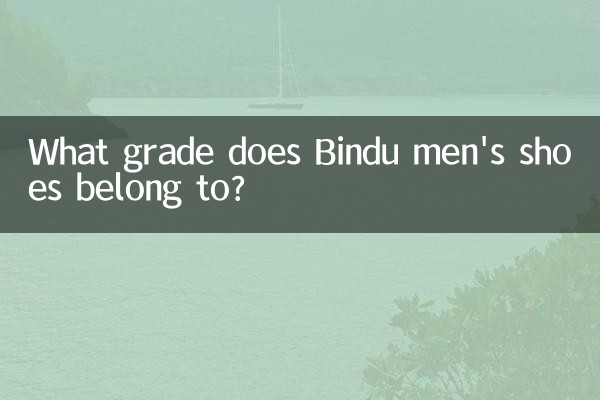 A quale categoria appartengono le scarpe da uomo Bindu?