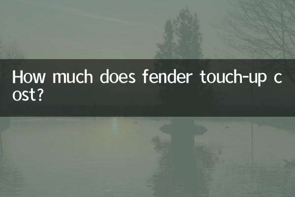 Quanto custa o retoque do para-lama?