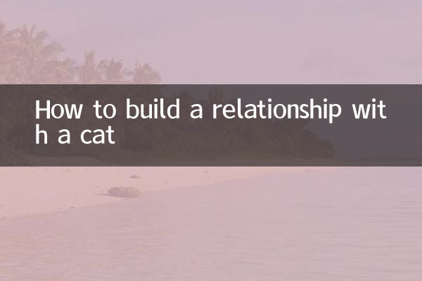 بلی کے ساتھ تعلقات کیسے پیدا کریں