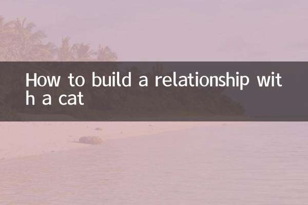 Как построить отношения с котом