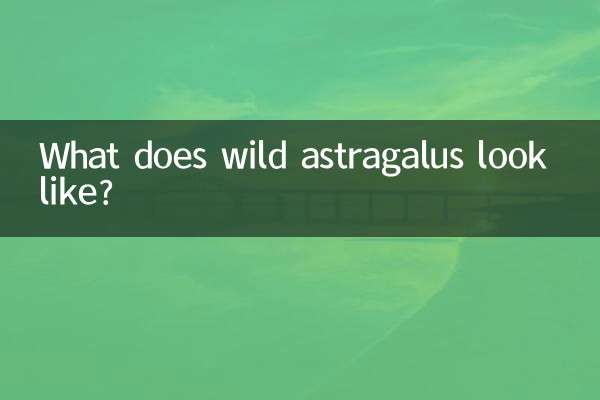 ¿Cómo se ve el astrágalo silvestre?