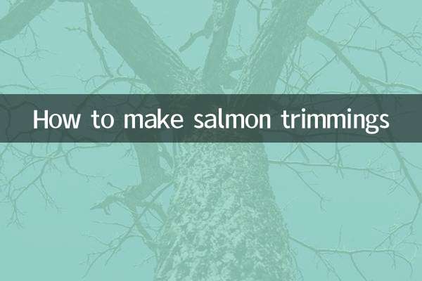 三文鱼边角料怎么做