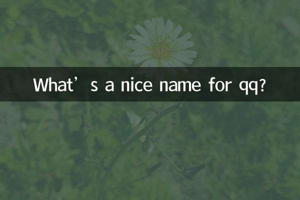 Qual è un bel nome per qq?